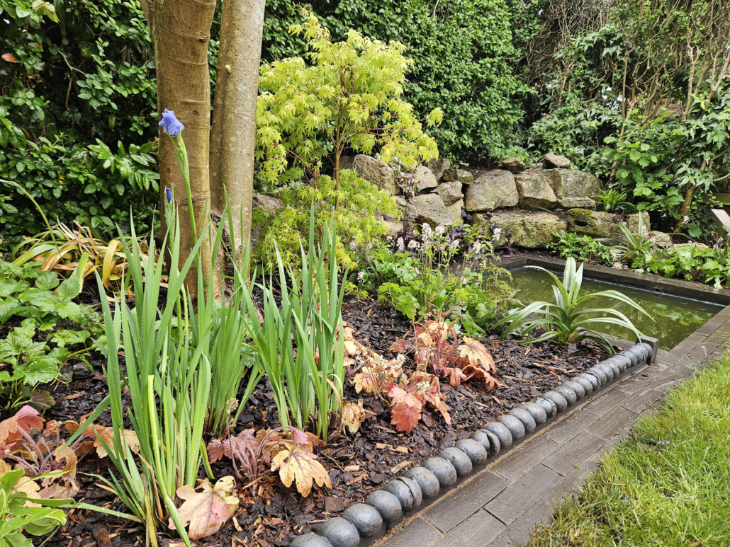 Planting Plans & Schemes for Hastings & Beyond