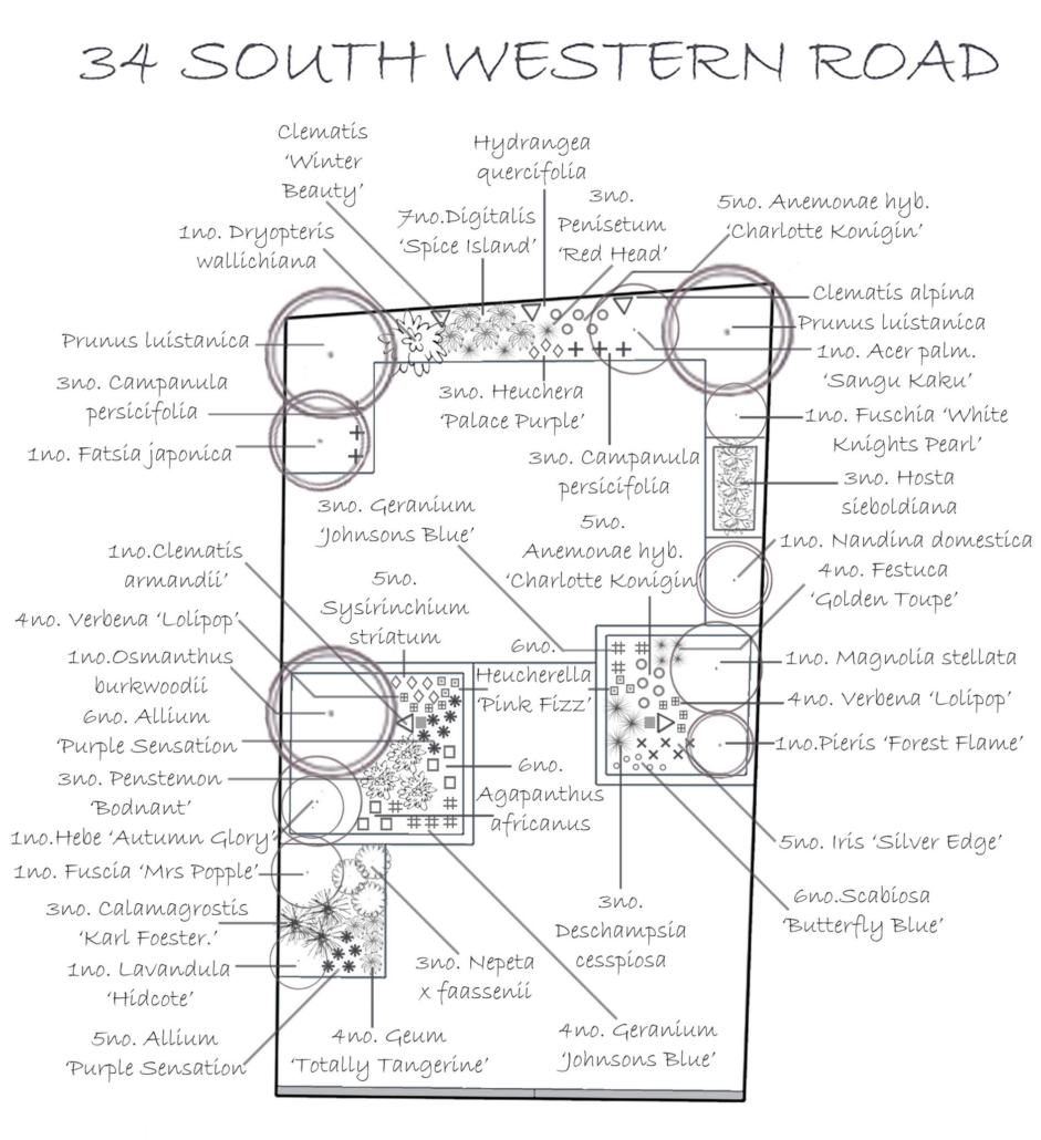 Client Planting Plan