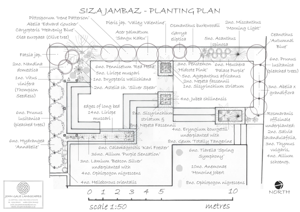 Siza planting plan